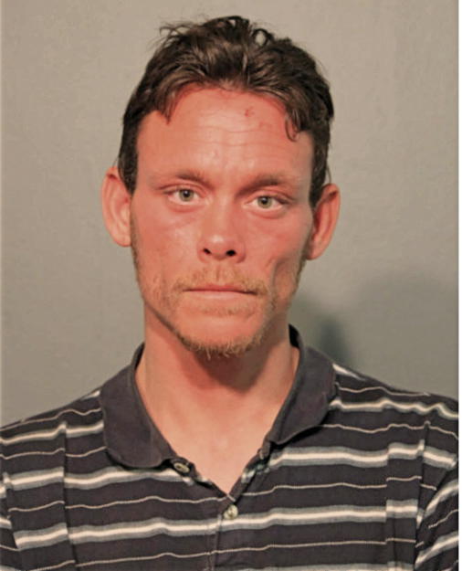 MICHAEL A BAIRD, Cook County, Illinois