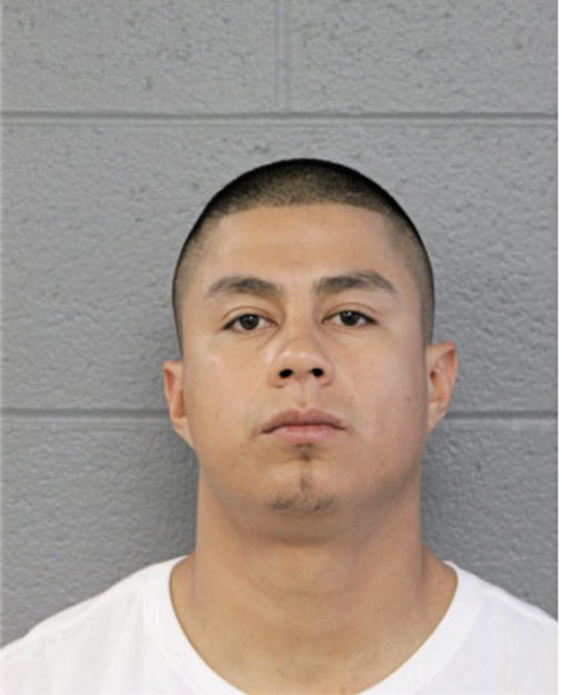 OMAR BERRONES, Cook County, Illinois