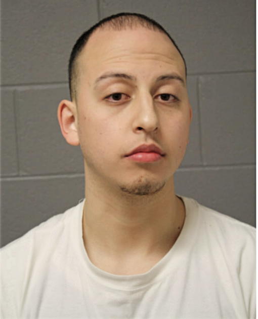 JORGE GUZMAN, Cook County, Illinois
