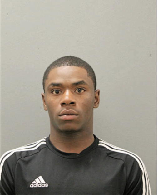KOREY M HAMILTON, Cook County, Illinois