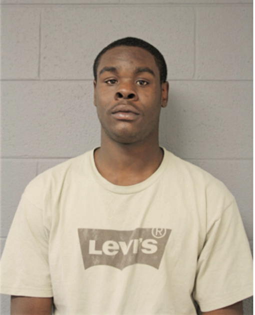 MICHAEL JOHNSON, Cook County, Illinois