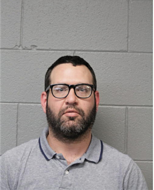 DAVID A MALDONADO, Cook County, Illinois