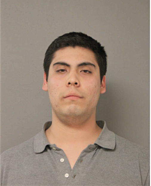ADOLFO MENDEZ, Cook County, Illinois
