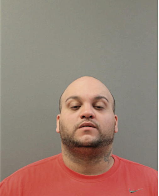 DAVID B NIEVES, Cook County, Illinois
