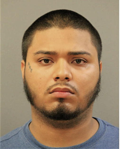 ALEX J OCASIO, Cook County, Illinois