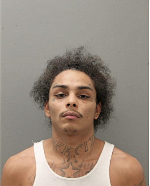 PERRY D PERKINS, Cook County, Illinois