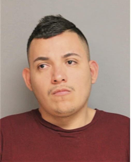 MIGUEL ANGEL ROCHA, Cook County, Illinois
