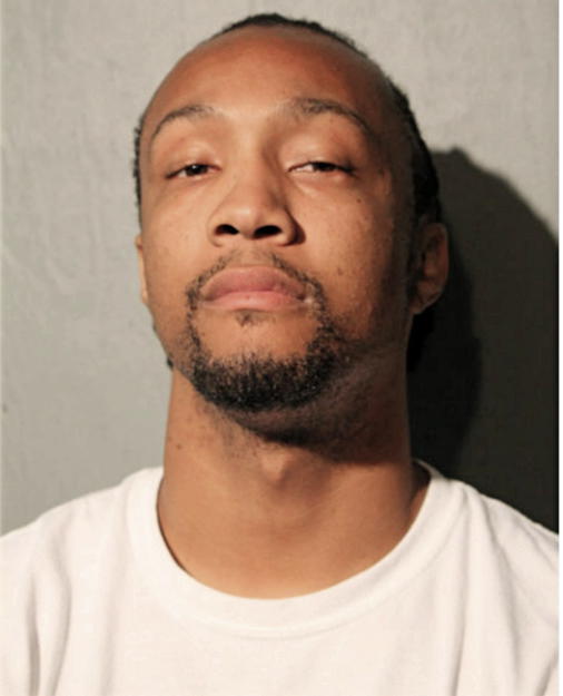 NATHAN L SMITH, Cook County, Illinois