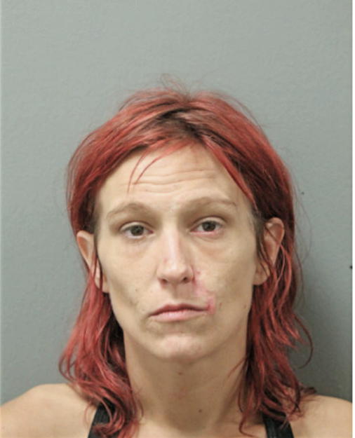 NICOLE SNELSON, Cook County, Illinois