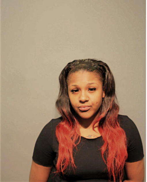 BRIA TURNAGE, Cook County, Illinois