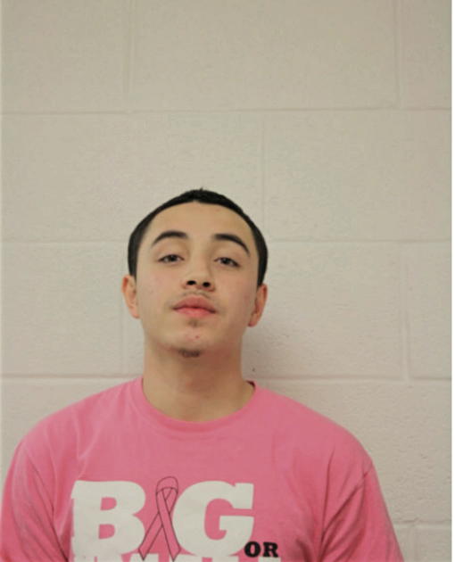 DAVID VEGA, Cook County, Illinois