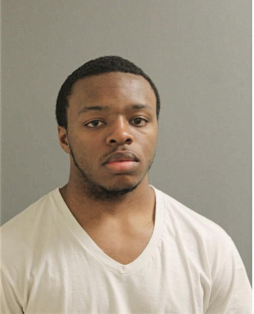 DEMARIS D VILLANUEVA, Cook County, Illinois