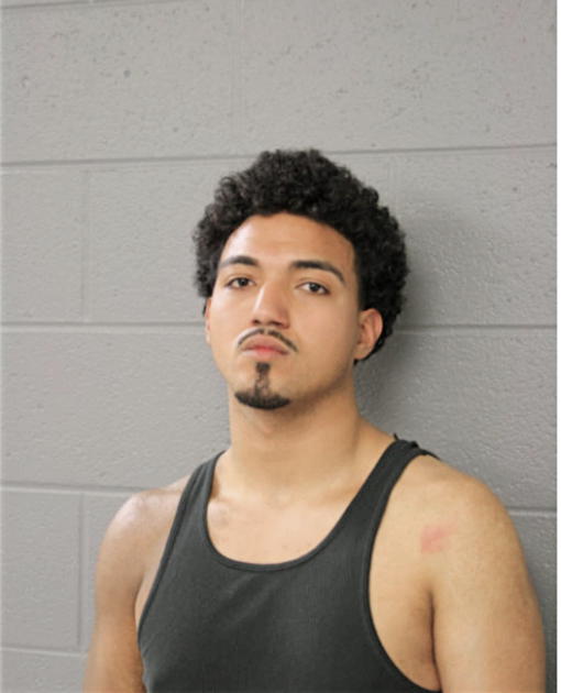MIGUEL A NAVA, Cook County, Illinois