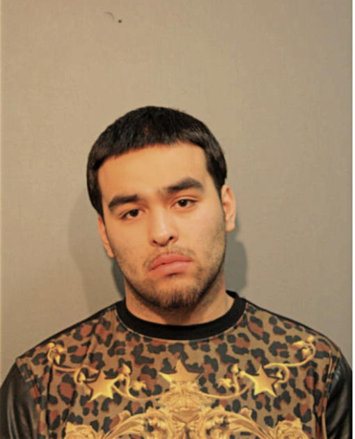 CEASAR ARCIGA, Cook County, Illinois