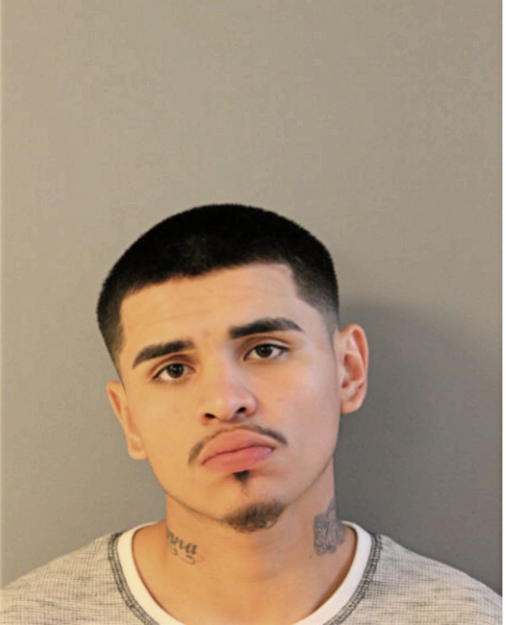 JOSE M AVELAR, Cook County, Illinois