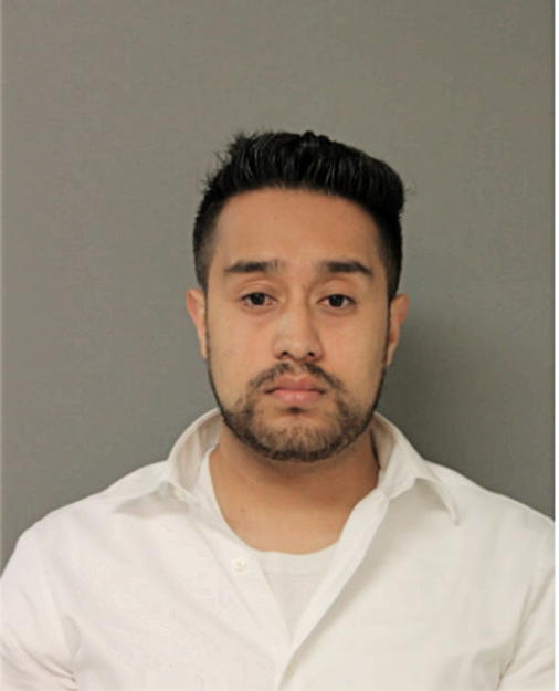 NELSON A BENITEZ-TERAN, Cook County, Illinois