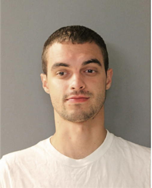 BRIAN J BURMEISTER, Cook County, Illinois
