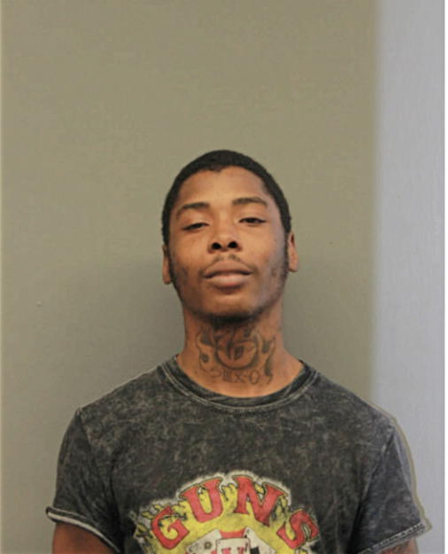 RAMONE E DOBINE, Cook County, Illinois