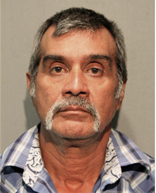 DOMINGO F ESTRADA, Cook County, Illinois