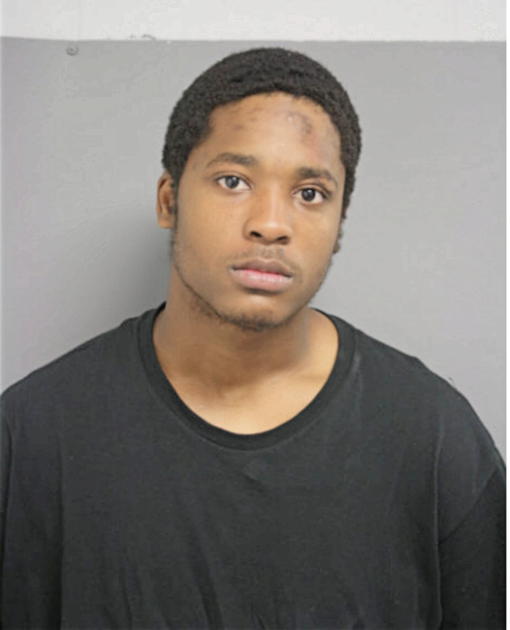 SANCHEZ R FITZGERALD, Cook County, Illinois