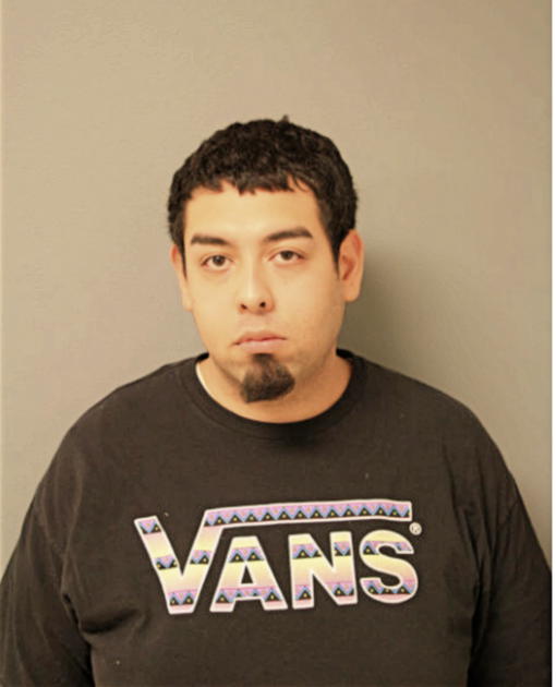 LUIS FLORES, Cook County, Illinois