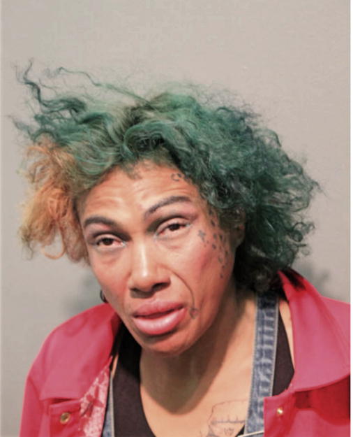VICTORIA GONZALES, Cook County, Illinois