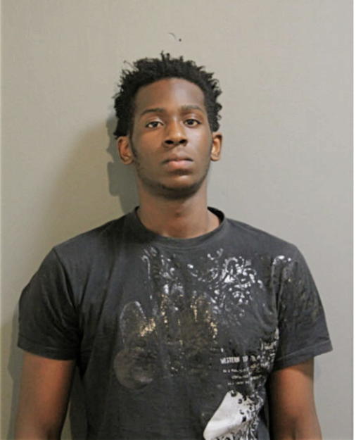 WILLIE L HIGGINBOTHAM, Cook County, Illinois