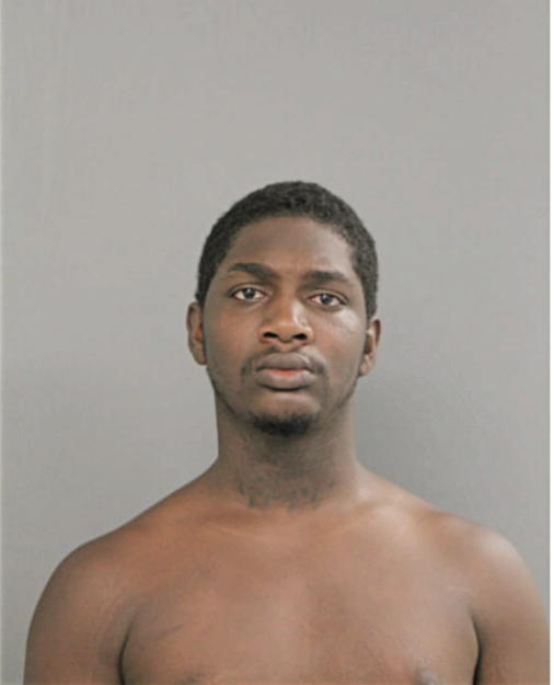 CHRISTOPHER L JOHNSON, Cook County, Illinois