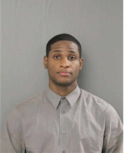 RAPHELLE J LOWERY, Cook County, Illinois