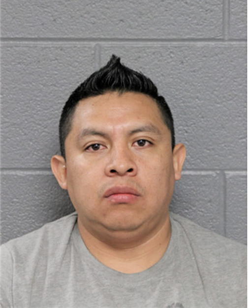 JOEL MOGOLLAN-ESPARZA, Cook County, Illinois