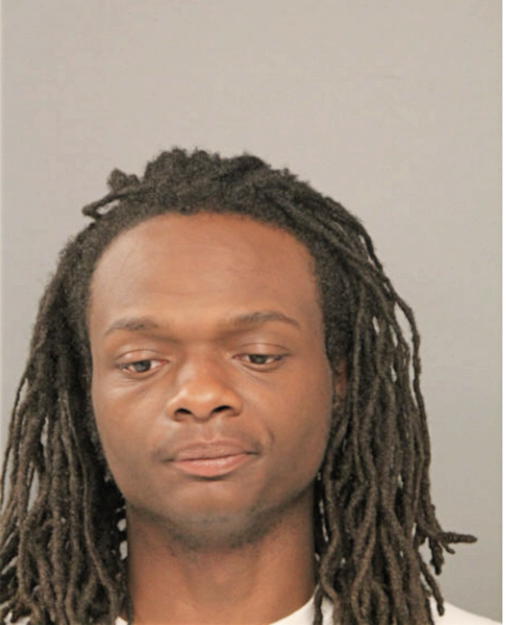 JABIREE D NEWSON, Cook County, Illinois