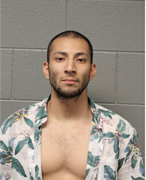JULIO L PALMA, Cook County, Illinois