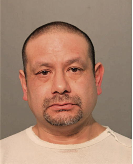 ANGEL N RAMIREZ, Cook County, Illinois