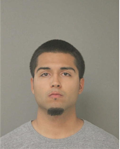 ANTHONY G RAMIREZ, Cook County, Illinois
