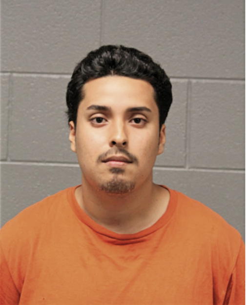 JAIME ROA, Cook County, Illinois