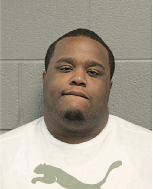 MICHAEL J ROBINSON, Cook County, Illinois