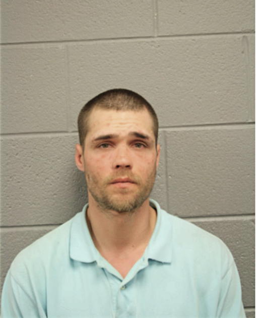 GREGORY S STRAUSS, Cook County, Illinois