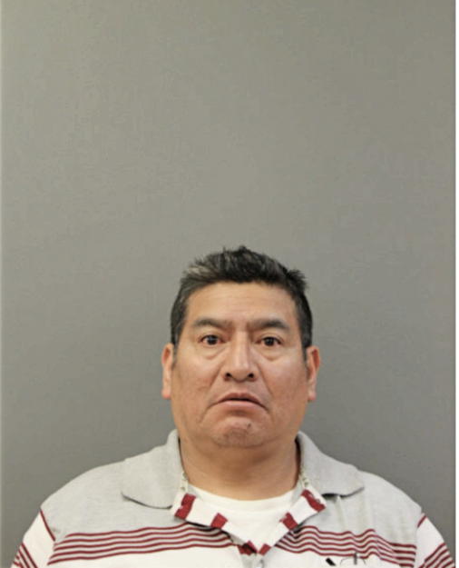 JOSE MANUEL TENELEMA, Cook County, Illinois