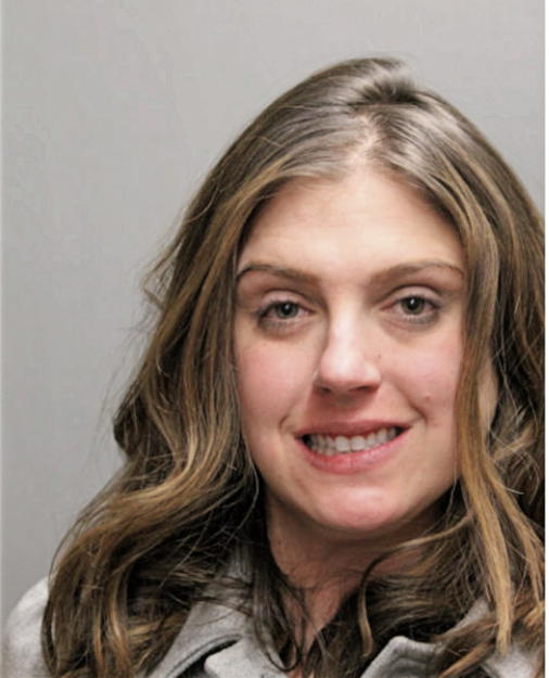 SHAWN E TOLITANO, Cook County, Illinois