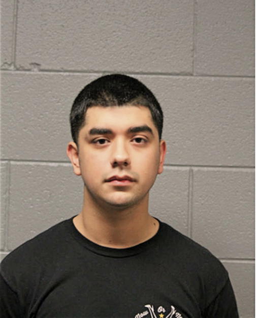 ELVIS ALONSO TORRES MARTINEZ, Cook County, Illinois