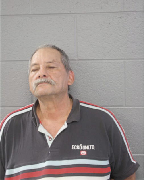 LUIS TORRES, Cook County, Illinois