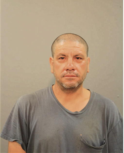 JAVIER VILLAGOMEZ, Cook County, Illinois