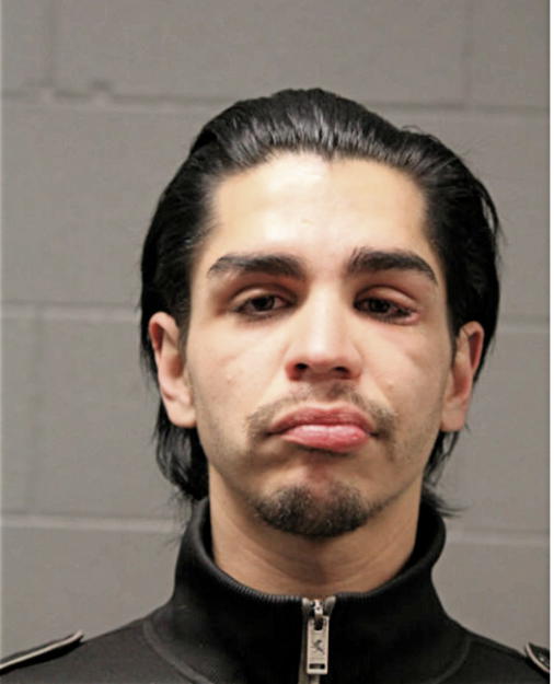 RAFAEL A VILLANOVA, Cook County, Illinois