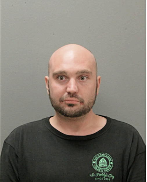 MATTHEW D WOLMARK, Cook County, Illinois