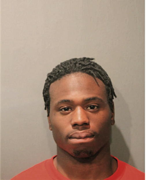 DAVID T YOUNG, Cook County, Illinois