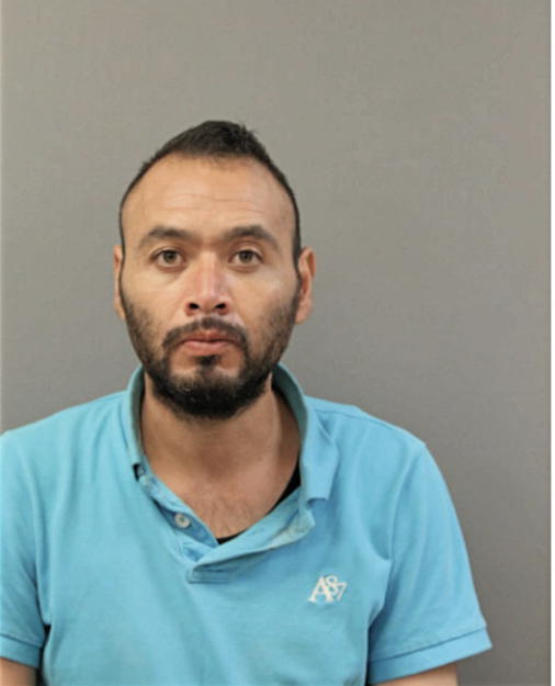 JOSE L ZAMUDIO, Cook County, Illinois