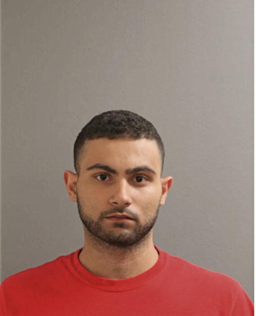 AMEER B ABDELRAHMAN, Cook County, Illinois