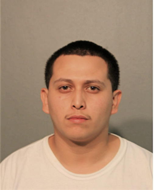 BRYAN D ACEVEDO, Cook County, Illinois