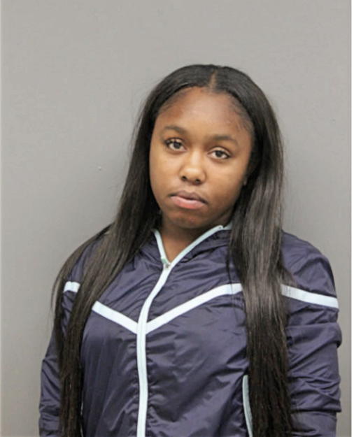 JANELL M ANDERSON, Cook County, Illinois