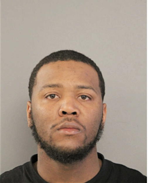 KENDRICK P ANDERSON, Cook County, Illinois